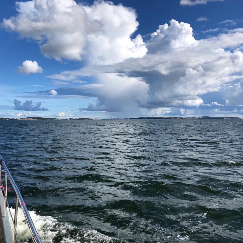 Gallery Item 1 copy copy